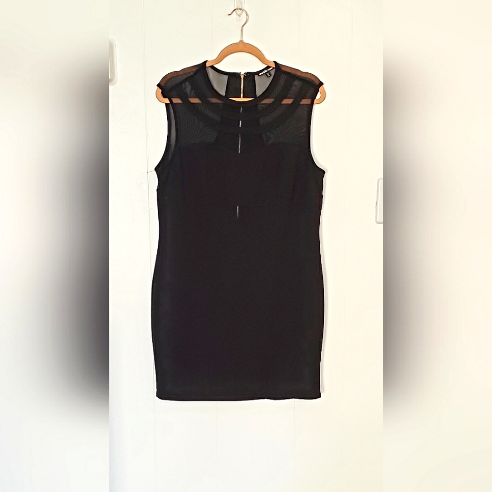 Charlotte Russell Sheer Insert Dress Size 2X